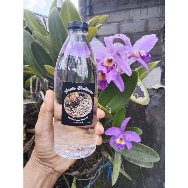 

Sari Air Kelapa Bali
