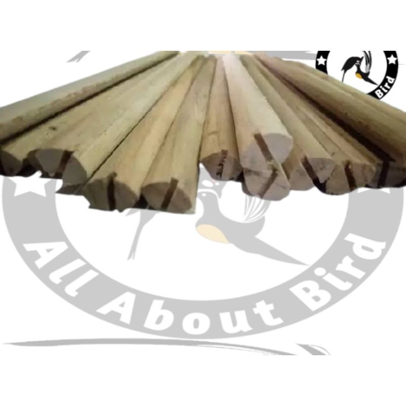 TANGKRINGAN OVAL KENARI TANGKRINGAN BURUNG OVAL