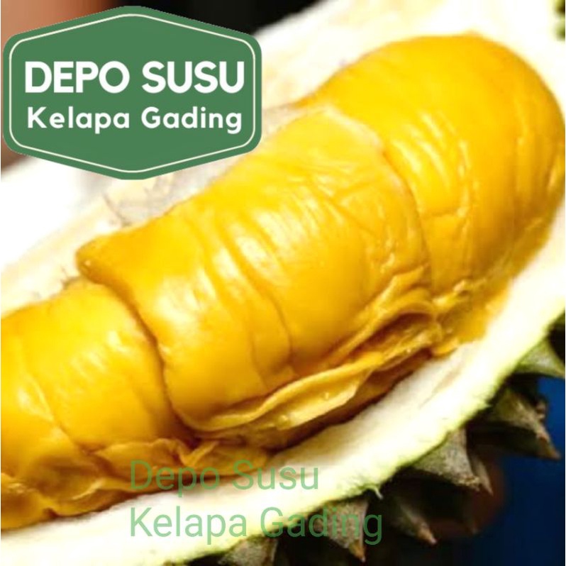 Durian Beku Motong Palu | Musang King | Malaysia D101 Duren Monthong Mochi import Premium Frozen Fresh Segar