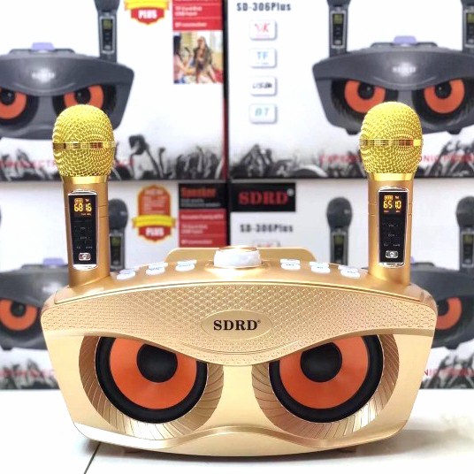 Speaker Karaoke 2 MIC Portable Wireless Bluetooth SDRD SD-306 Plus