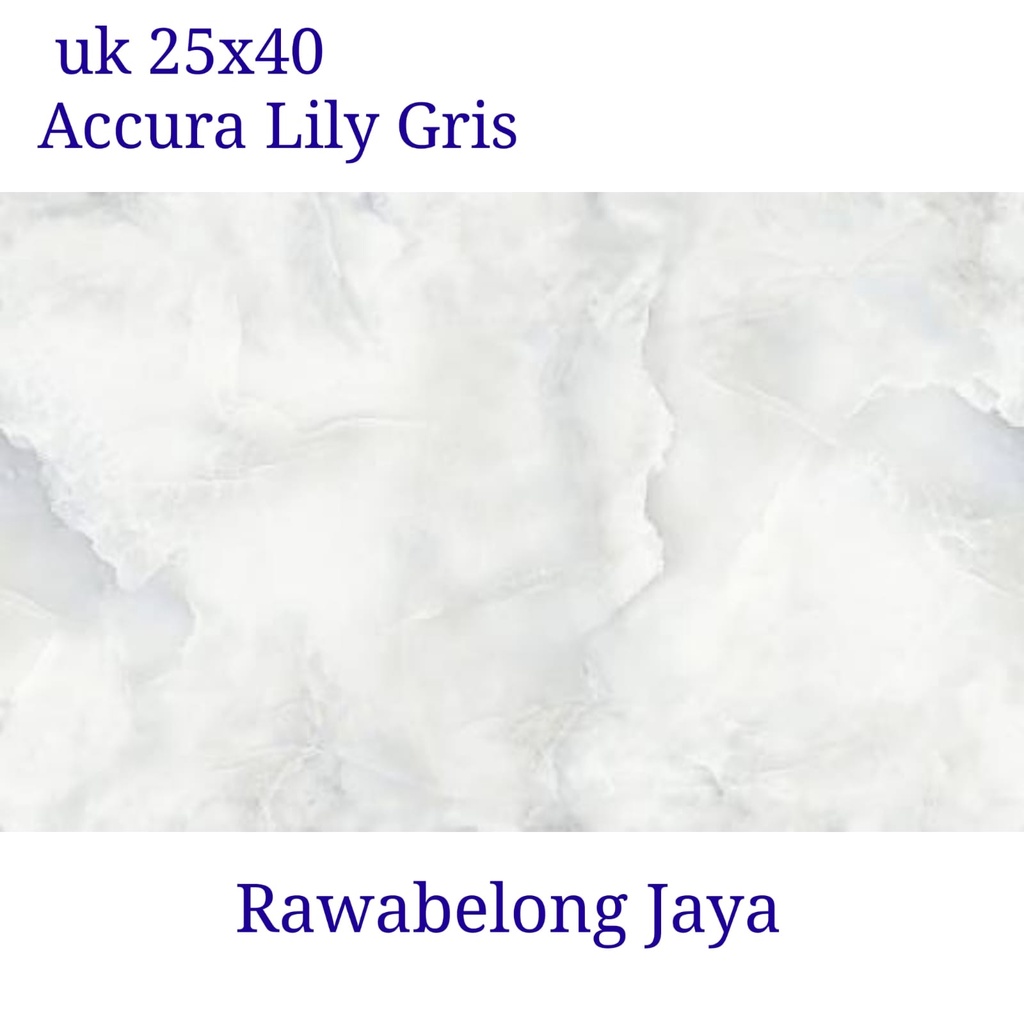 Keramik Dinding 25x40 Accura Lily Gris