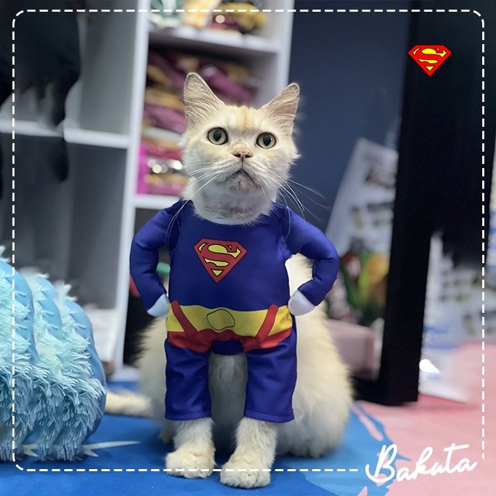 Kostum Superhero untuk kucing dan anjing Lucu Batman Vs Superman / Kostum kucing Murah / Baju Kucing Tangerang size S-XL