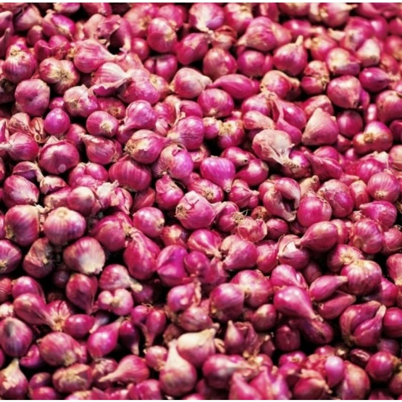 

Bawang Merah Segar 500 gr Termurah Terlaris