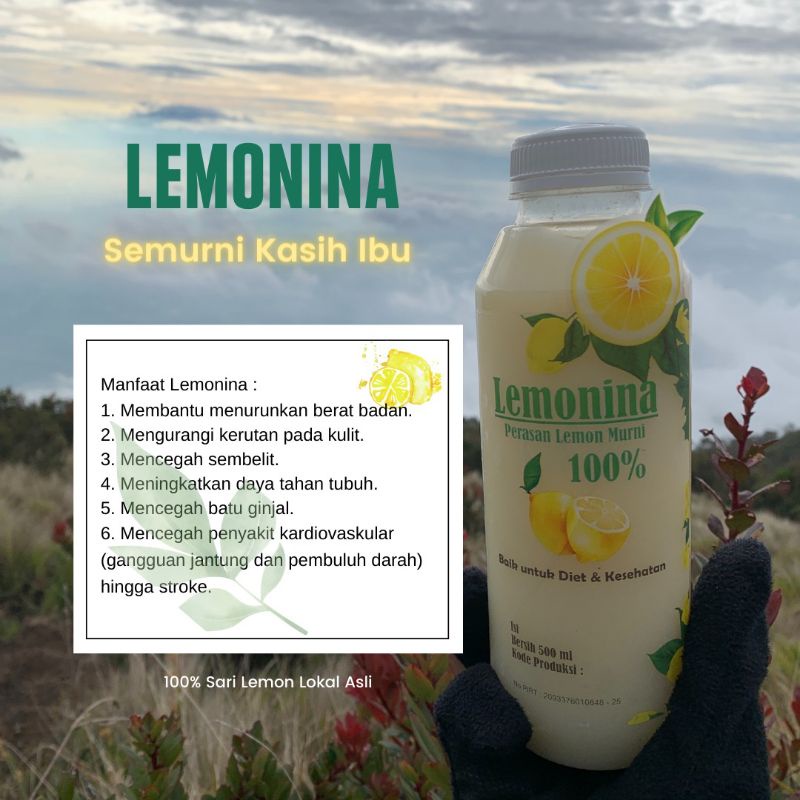 

Lemonina 500Ml