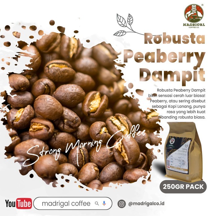 

Kopi Robusta Peaberry Dampit Strong Dark Roast 500gr Madrigal Coffee