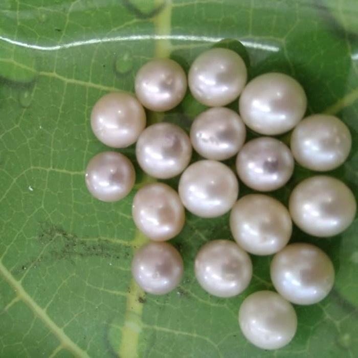 butiran mutiara laut murah , Mutiara Asli Lombok