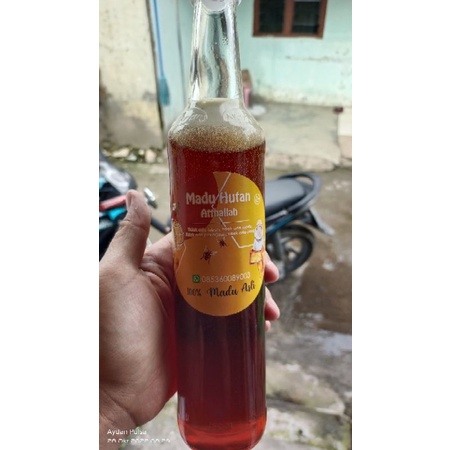 

Madu Hutan Asli