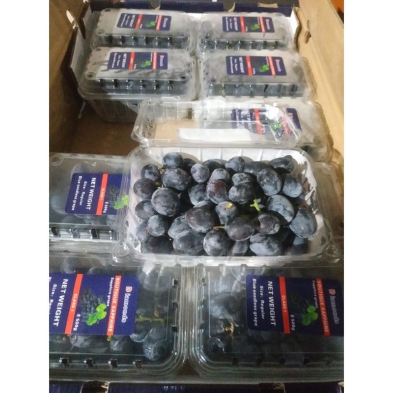 

Buah Anggur Autumn pack 500g