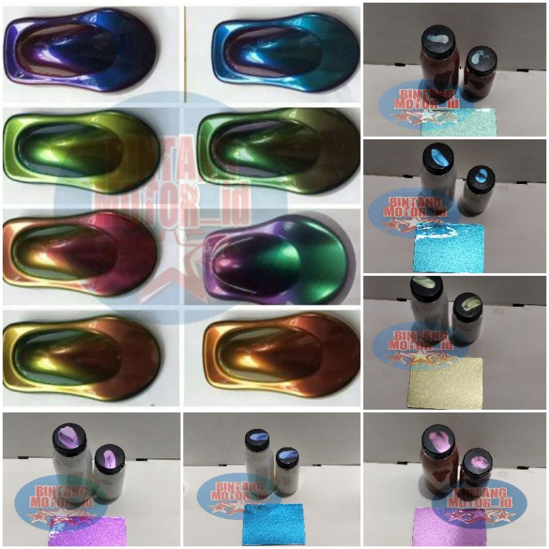 CAT BUNGLON 3 4 WARNA (PU) 50ml - 100ml / CHAMELEON PAINT