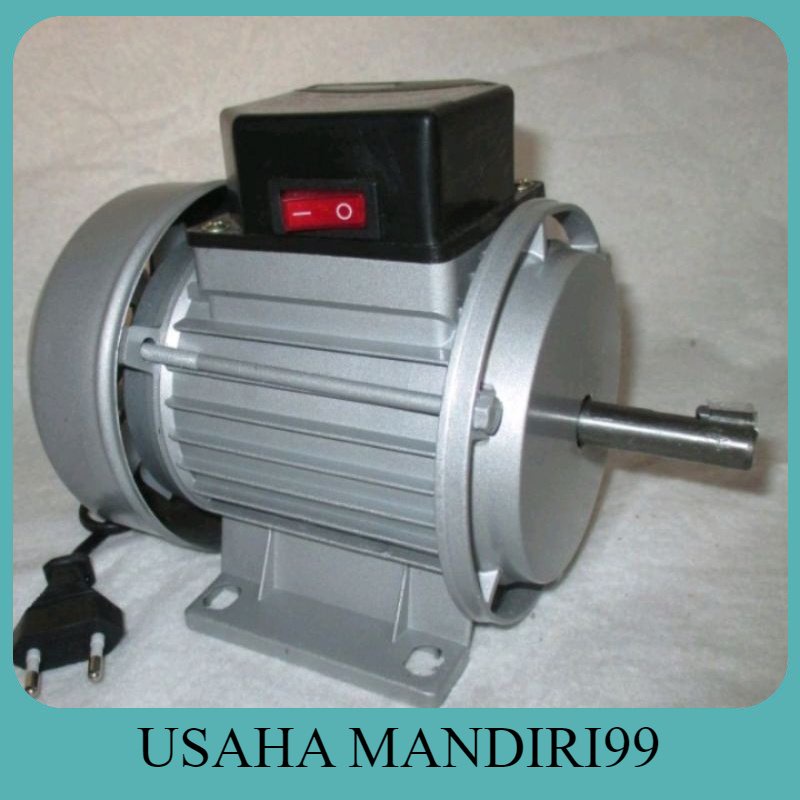 Dinamo mesin parut kelapa Dinamo motor penggerak sesuai Dinamo Mesin Parut Parutan Kelapa Listrik Se