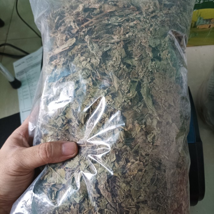 

500 G GR GRAM TEH DAUN MINT MENTHOL KERING DRIED SPEARMINT HERBAL TEA