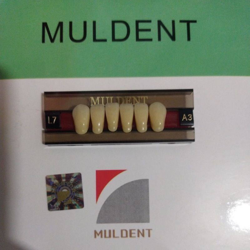 GIGI PALSU / GIGI MULDENT - DEPAN BAWAH / PER BARIS ISI 6PCS / UKURAN L7 : A3