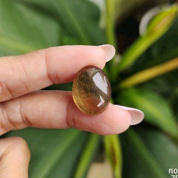 Kecubung Madu Kalimantan Bentuk Oval Polos C
