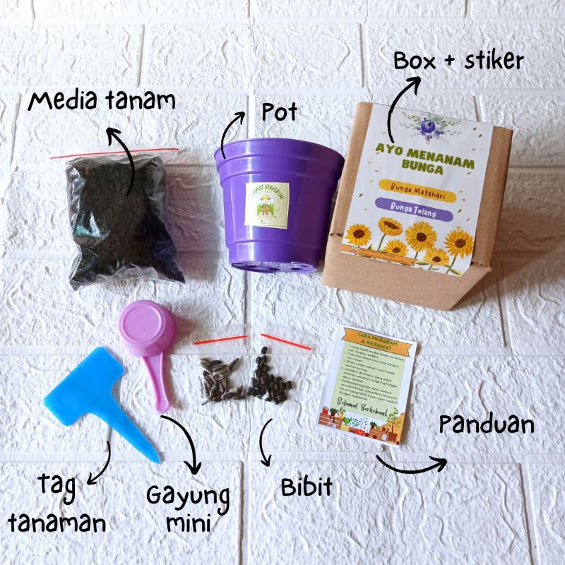 Berkebun Bunga Sayur DIY Grow Kit Mainan Edukasi