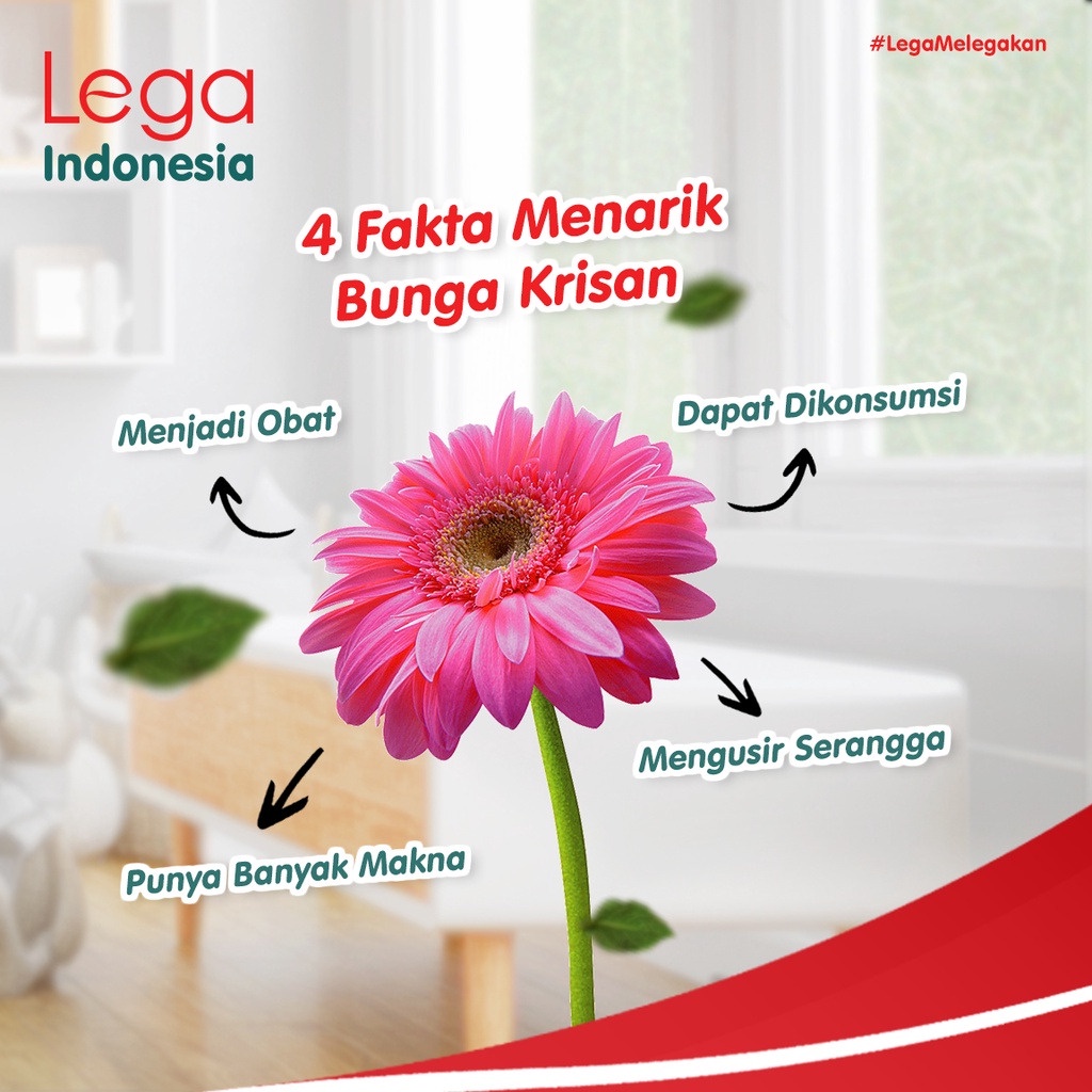 LEGA MINYAK TELON PLUS VARIAN 100 &amp; 70 ML