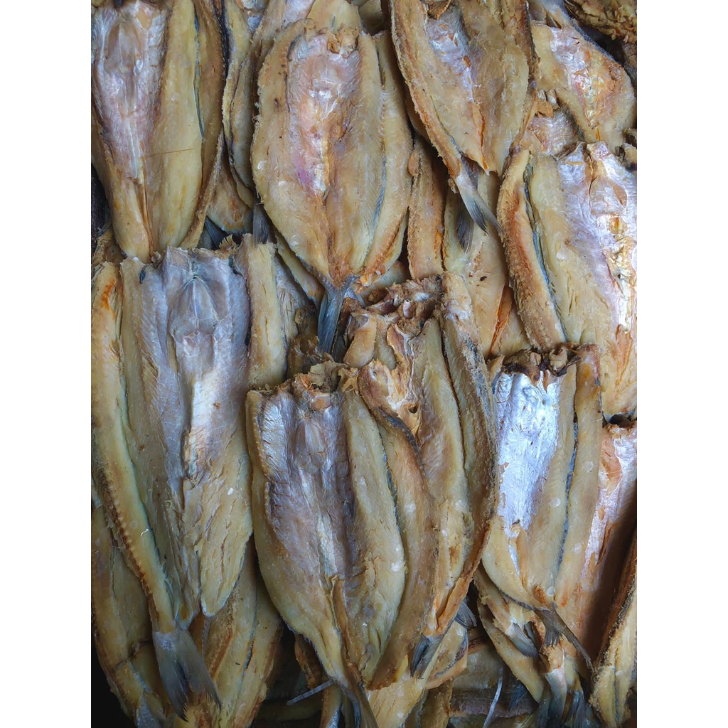 

IWAKE- IKAN ASIN JENGGELEK