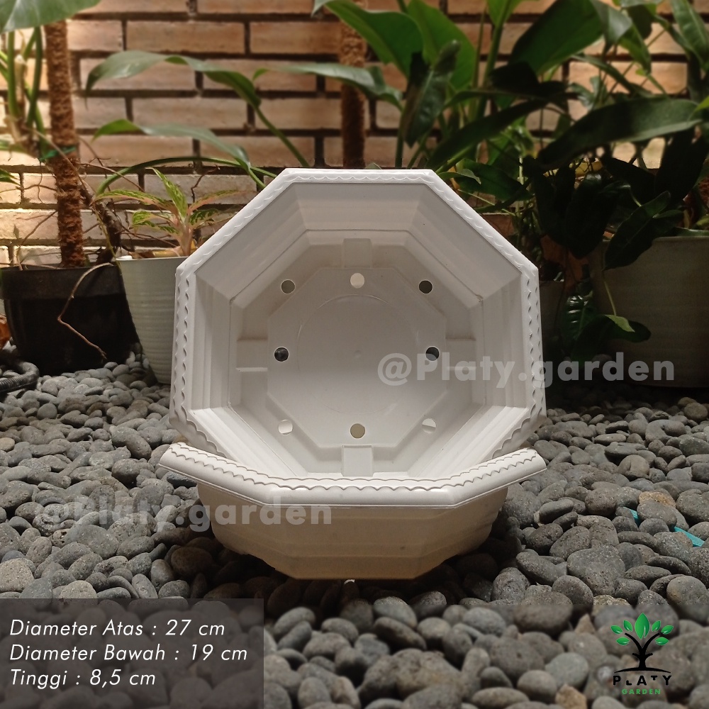 Pot Bonsai Santigi 30 | Pot Tanaman Ceper