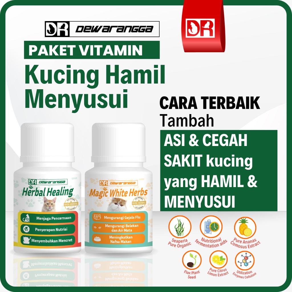 Dewarangga Paket Vitamin Kucing HAMIL &amp; MENYUSUI untuk Meningkatkan Produksi ASI, Mencegah Kelainan Anatomi Kitten, Memaksimalkan Penyerapan Nutrisi Kitten &amp; Induk