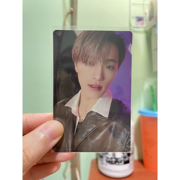 DINO SEVENTEEN ATTACCA CARAT VER