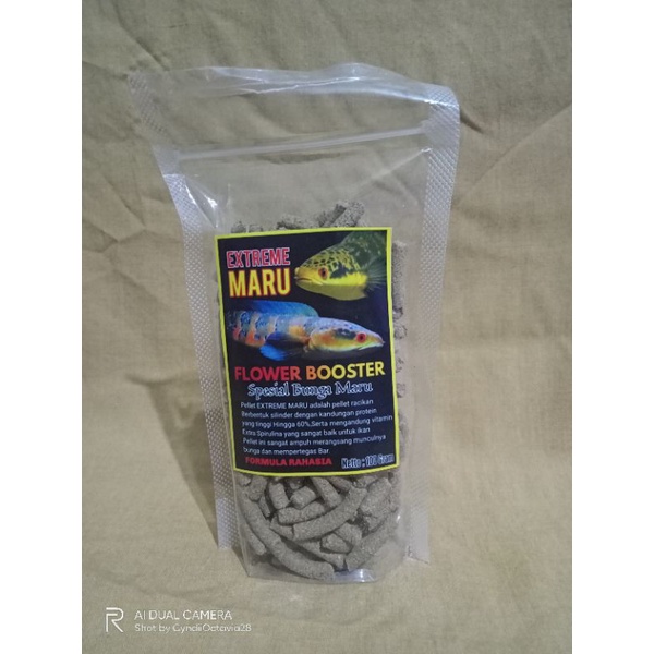 Extreme Maru Pelet Ikan Chana Maru 100gr