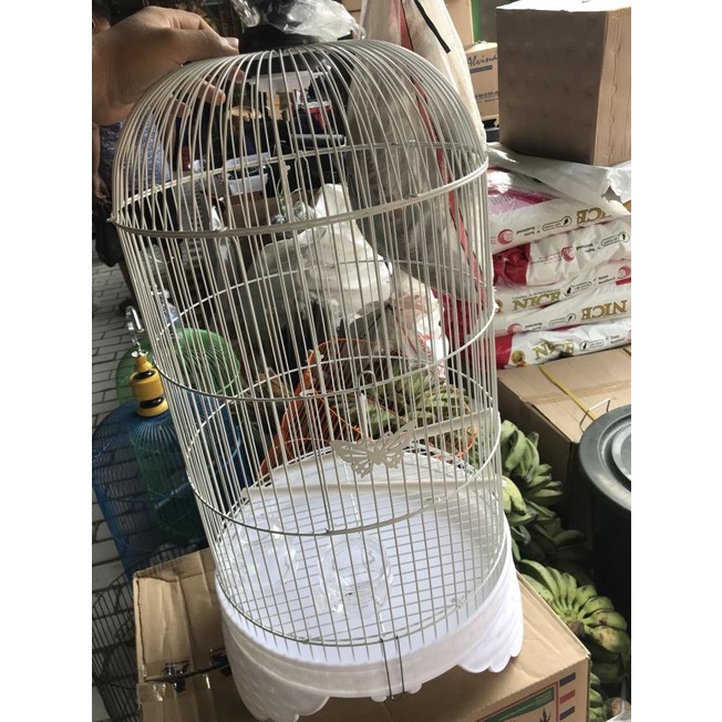 KANDANG LOVEBIRD SANGKAR LOVE BIRD MERK BOOM