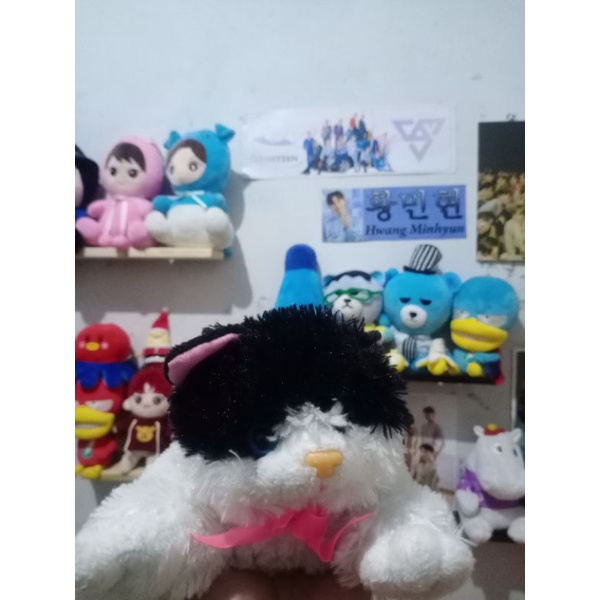 READY BONEKA ANIMAL CAT MABEL IMPORT HEWAN KUCING LUCU MATA BELO GLITTER RAINBOW)