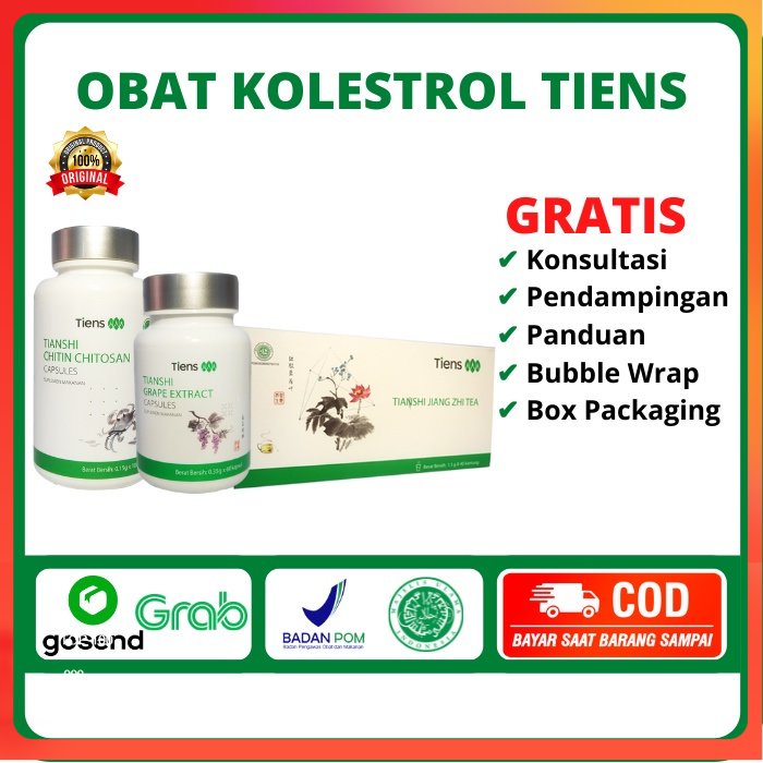 PAKET PRODUK DARI TIENS UNTUK OBAT KOLESTEROL