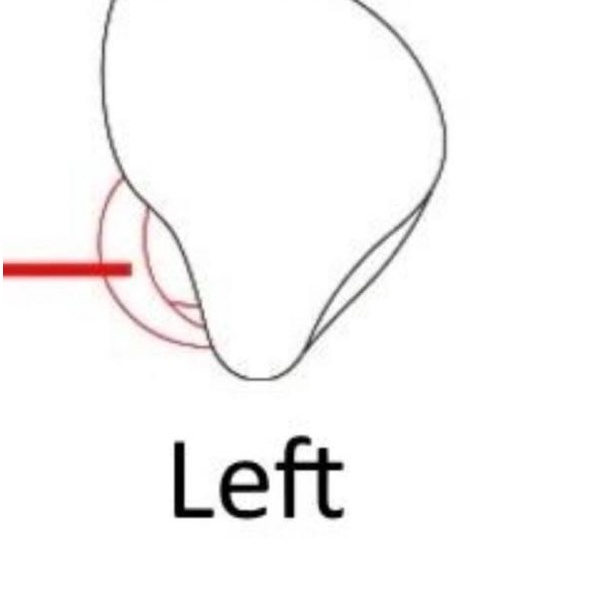 KZ ZSN KZ ZSN PRO Replacement Satuan Earphone Kiri dan Kanan - ZSN PRO Kiri