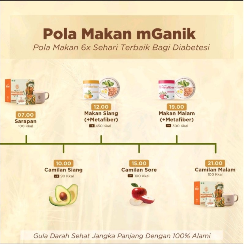 MGANIK MULTIGRAIN PAKET 2BOX