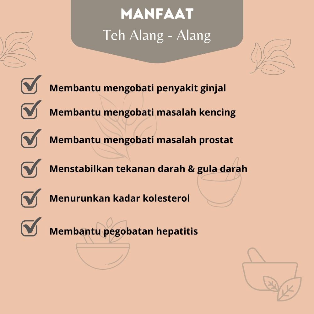 Teh Celup Alang-alang Teh Herbal Akar Alang Alang