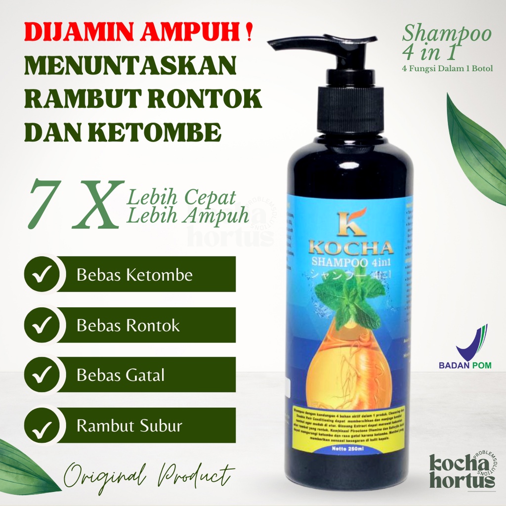 Jual Shampoo Anti Ketombe Dan Rambut Rontok Paling Ampuh Original KOCHA ...