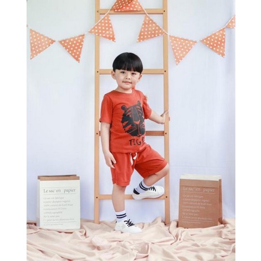 Jeco fashion Set anak Tiger