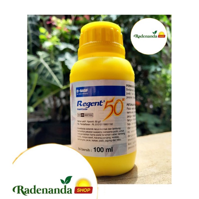 Regent 100ml