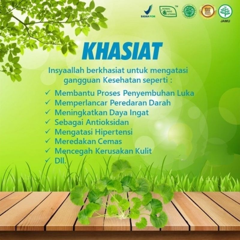 Kapsul Pegagan Hiu - Herbal Pegagan isi 60 kapsul