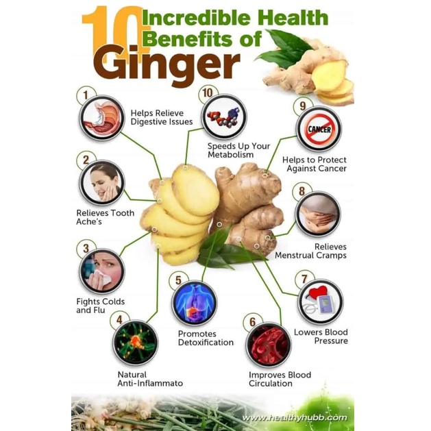 

MAR ELIF TEA AND TISANE Lemongrass Turmeric Ginger Tea JSR Teh Serai Kunyit Jahe 30 Tea Bag