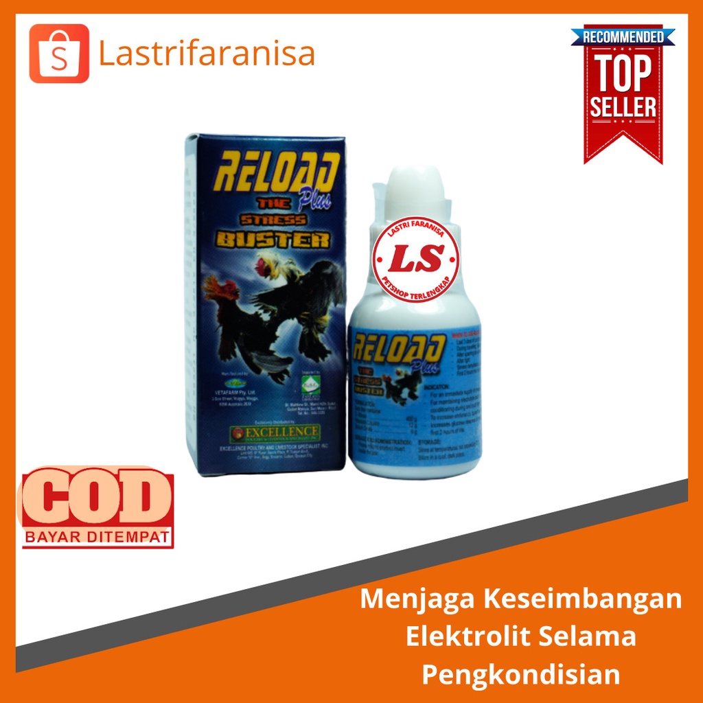 Reload Plus Obat Pencegah Ayam Stres, Meningkatkan Energi Ayam Bangkok Terbaik Asli