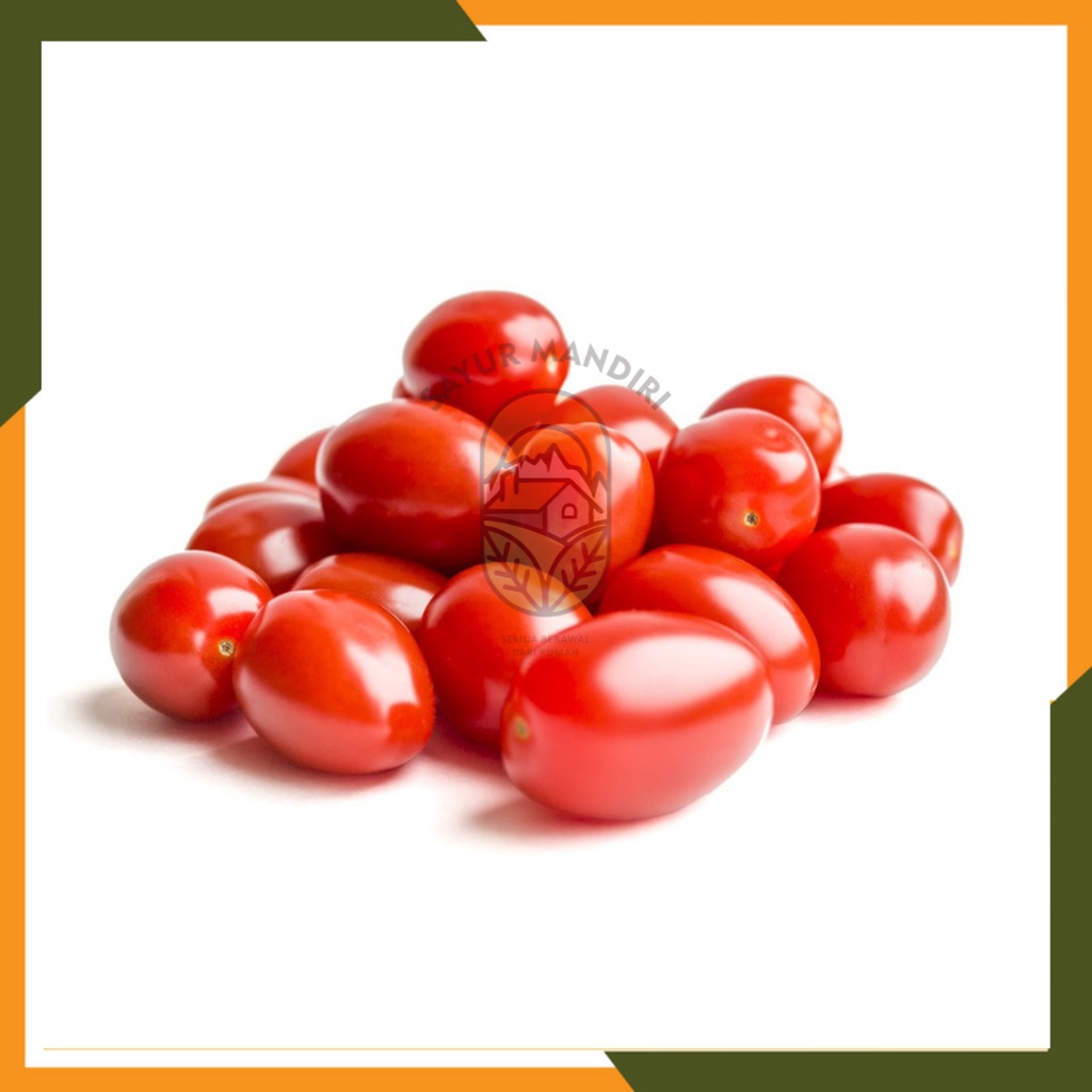 Benih Tomat Cherry Tropical Ruby Seribuan