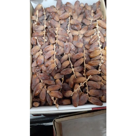 

kurma tangkai/falm fruit 1 dus 5kg