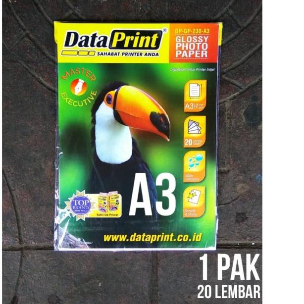 

Data Print Glossy Photo Paper 230 gsm A3 / DP-GP-230-A3 Dataprint
