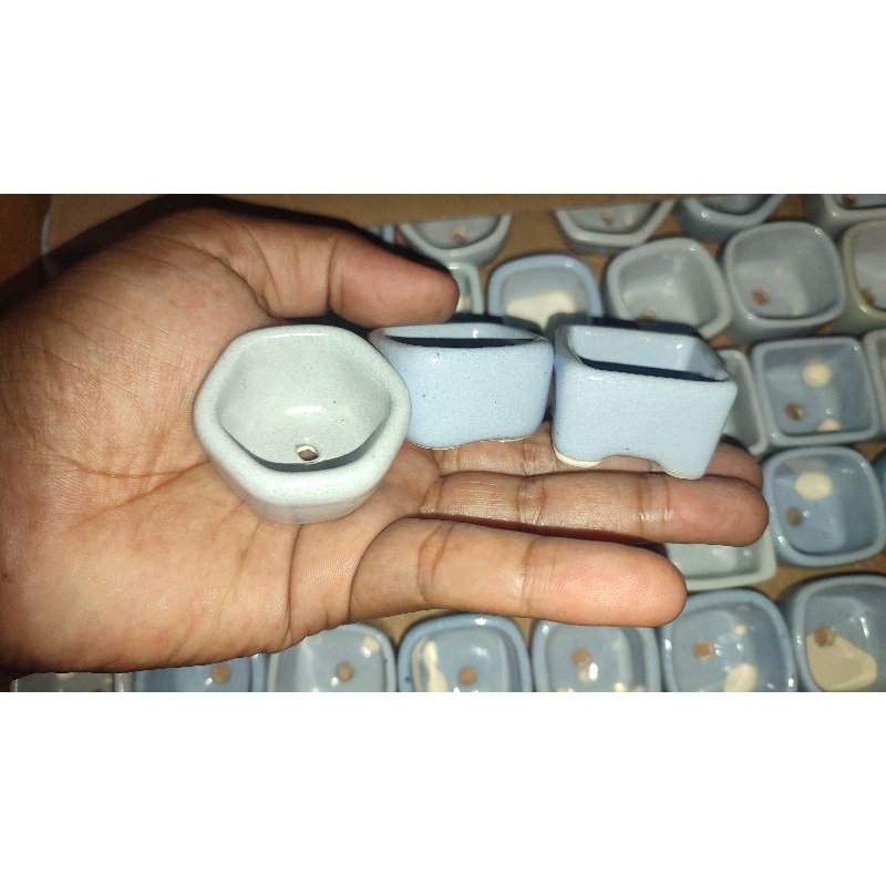 Pot Bonsai Keramik Shito/ Ketshisubo RANDOM