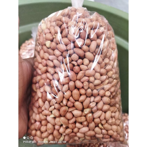 

kacang sangrai matang 1kg