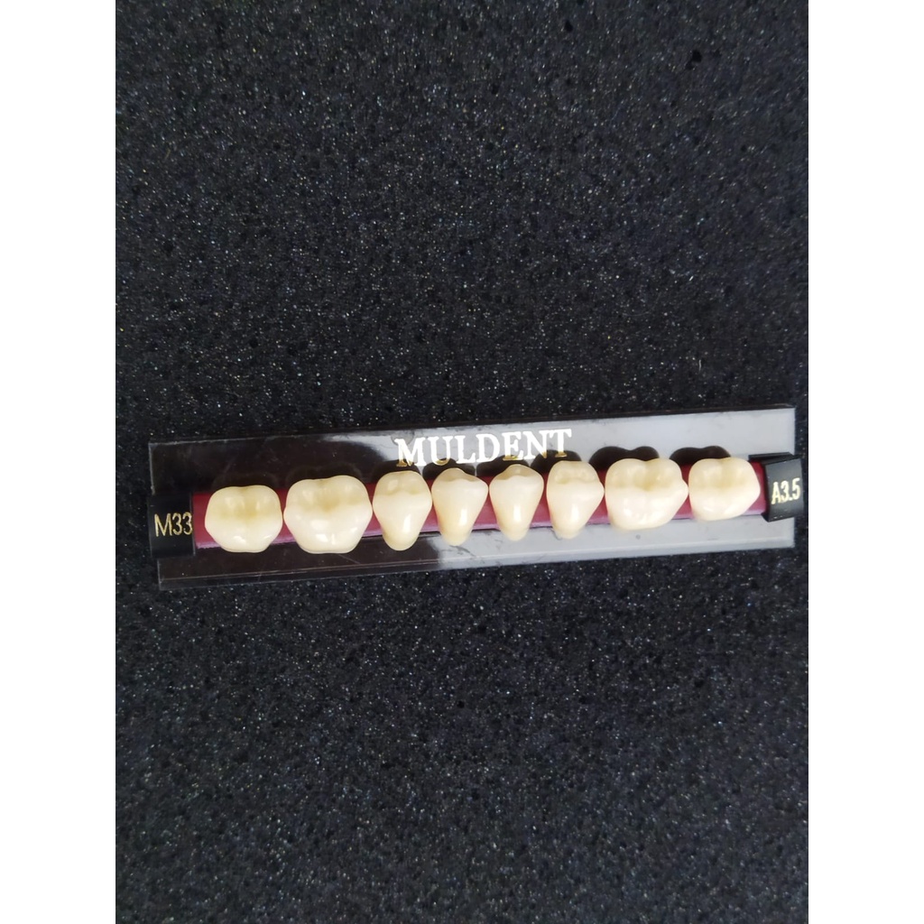 GIGI PALSU / GIGI MULDENT - GERAHAM BAWAH / PER BARIS ISI 8 PCS