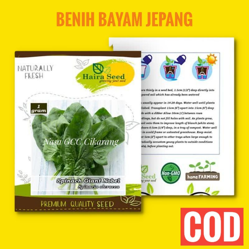 BENIH BAYAM JEPANG GIANT NOBEL HAIRA SEED