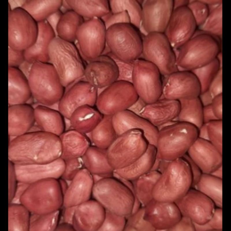 

Kacang tanah kupas