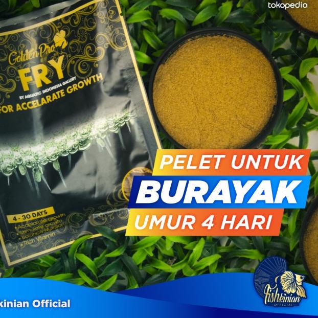 PELET IKAN CUPANG BETTA FISH - FRY UNTUK ANAKAN CUPANG