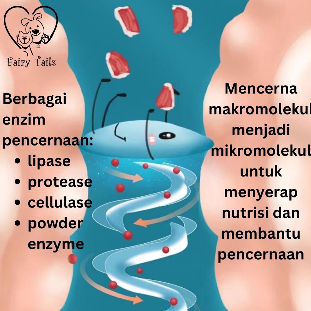 Suplemen Probitok dan L-Lysine Bubuk Untuk Kucing Anabul Menyembuhkan Diare dan Konstipasi Ringan Untuk Kesehatan Pencernaan Meningkatkan Daya Tahan Tubuh / Probiotic and L-Lysine Powder Supplement for Cat