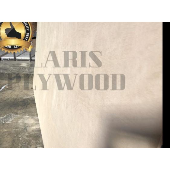 Triplek Palem 6mm / Multiplek Palem 6mm