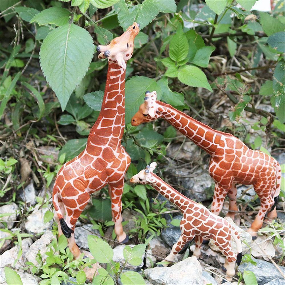 [Elegan] Model Hewan Koleksi Realistis Lion Raccoon|Patung Miniatur Rusa