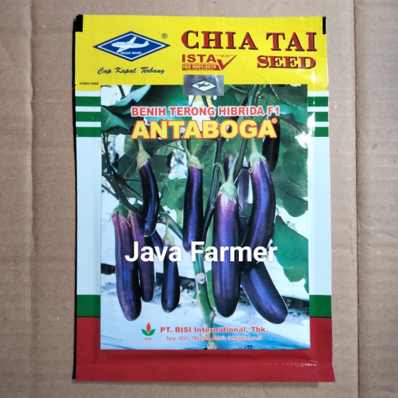 Benih Terong Hibrida F1 Antaboga 10 gram