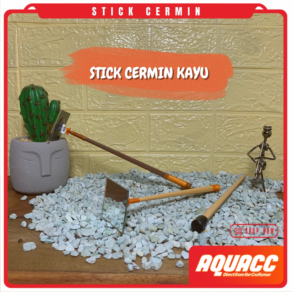 Stick Kaca Cermin Mental KAYU Ikan Cupang Channa Latihan Mental Flare Stick Cupang Ngedok